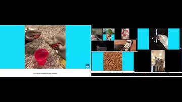 up to faster 11 parison to shark puppet