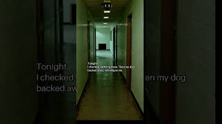 The Hallway Wasn’t Empty