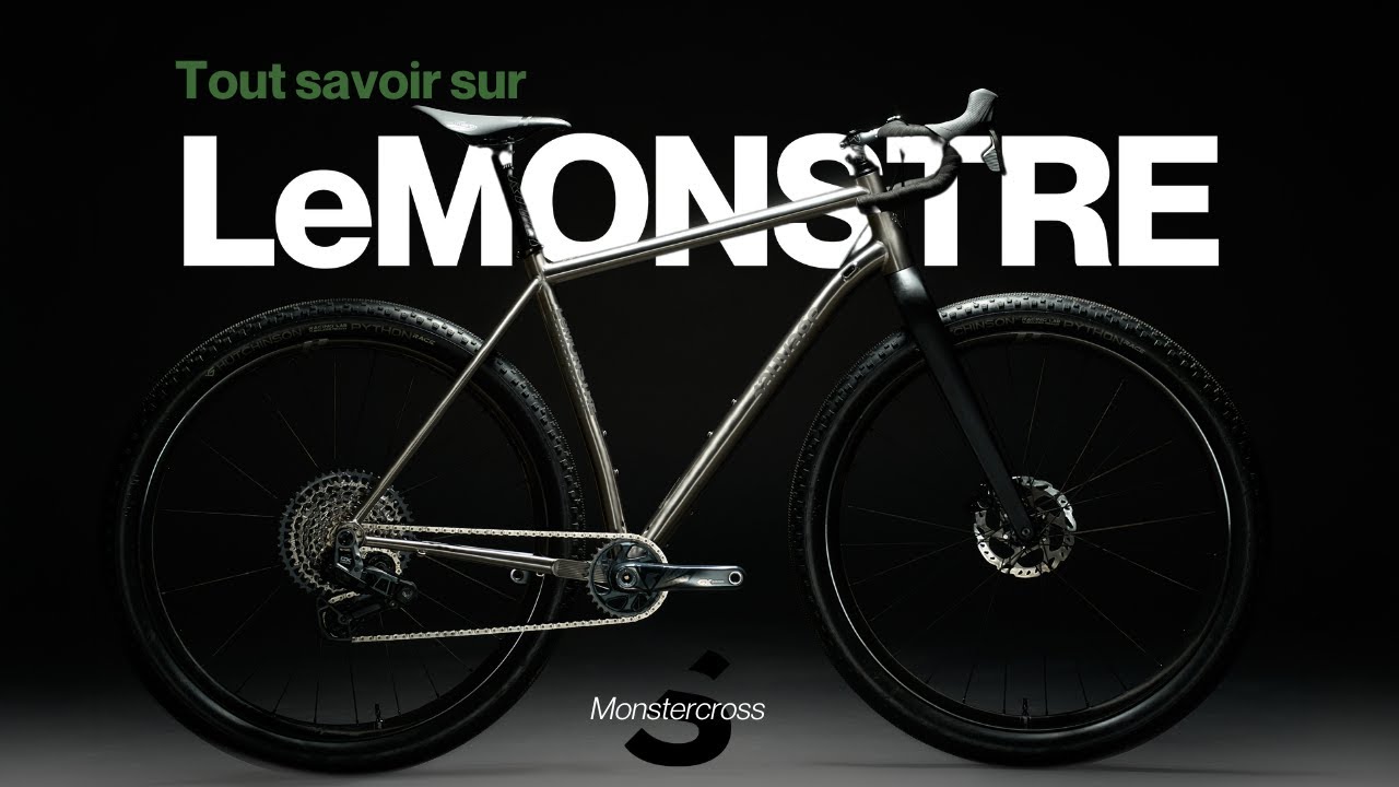 LEMONSTRE : présentation technique