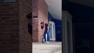 Just A Girl And Her B&G Can