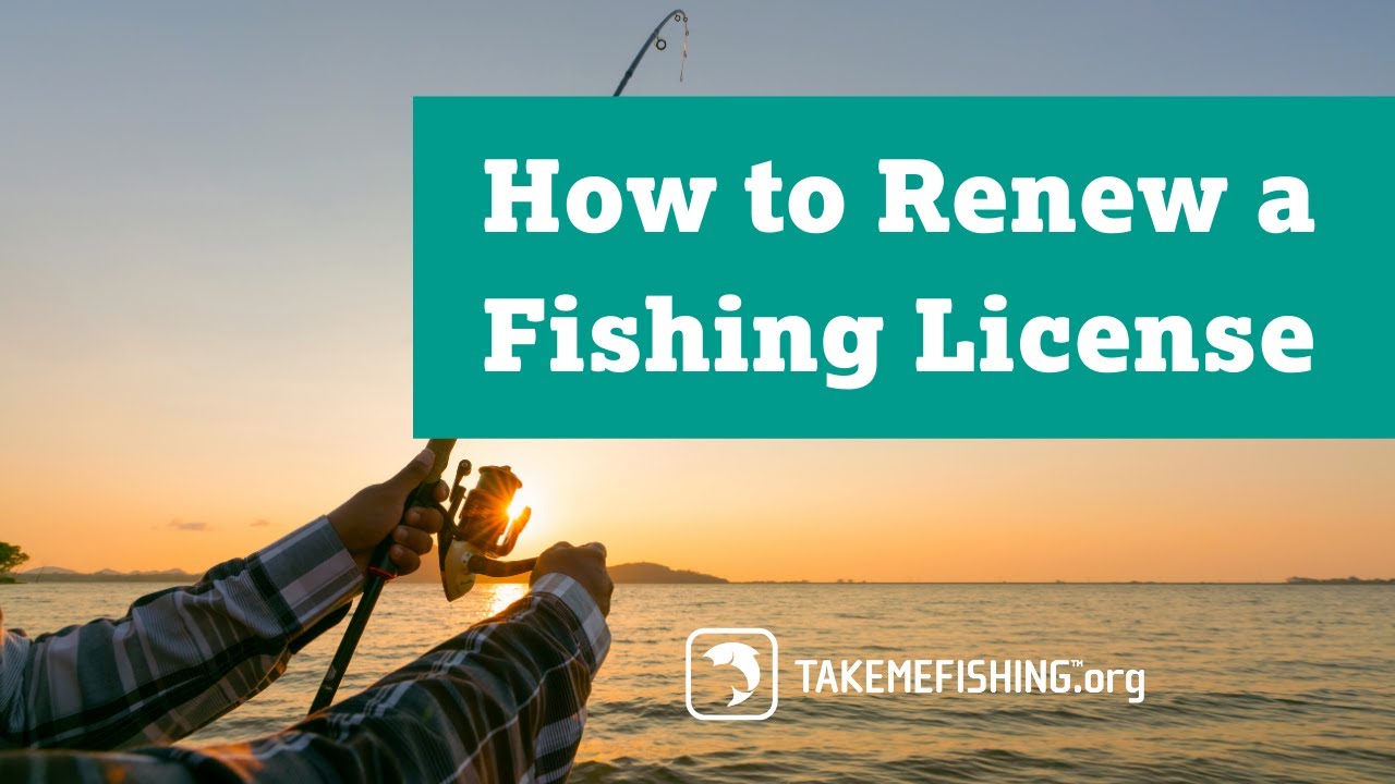 how-to-renew-a-fishing-license-youtube