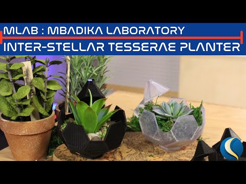 Episode 11: Inter-Stellar TESSERAE Planter (mLab | NASA)