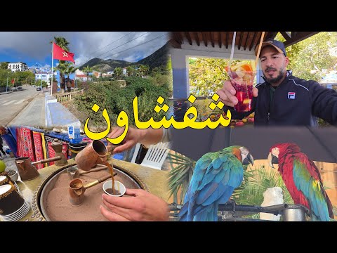 شفشاون المغرب أجمل مدن سياحة في الشمال  