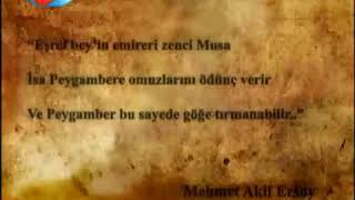 Örnek Almiyorsan Müslümanim , Türküm Deme