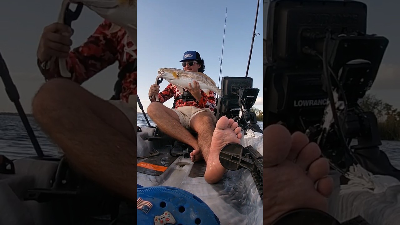 Redfish на поплавок 