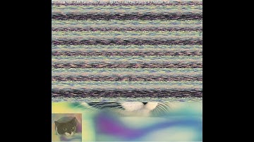 Pixel Radix LSD (least significant digit) Sorting visualization on a colorful cat img [900x853]