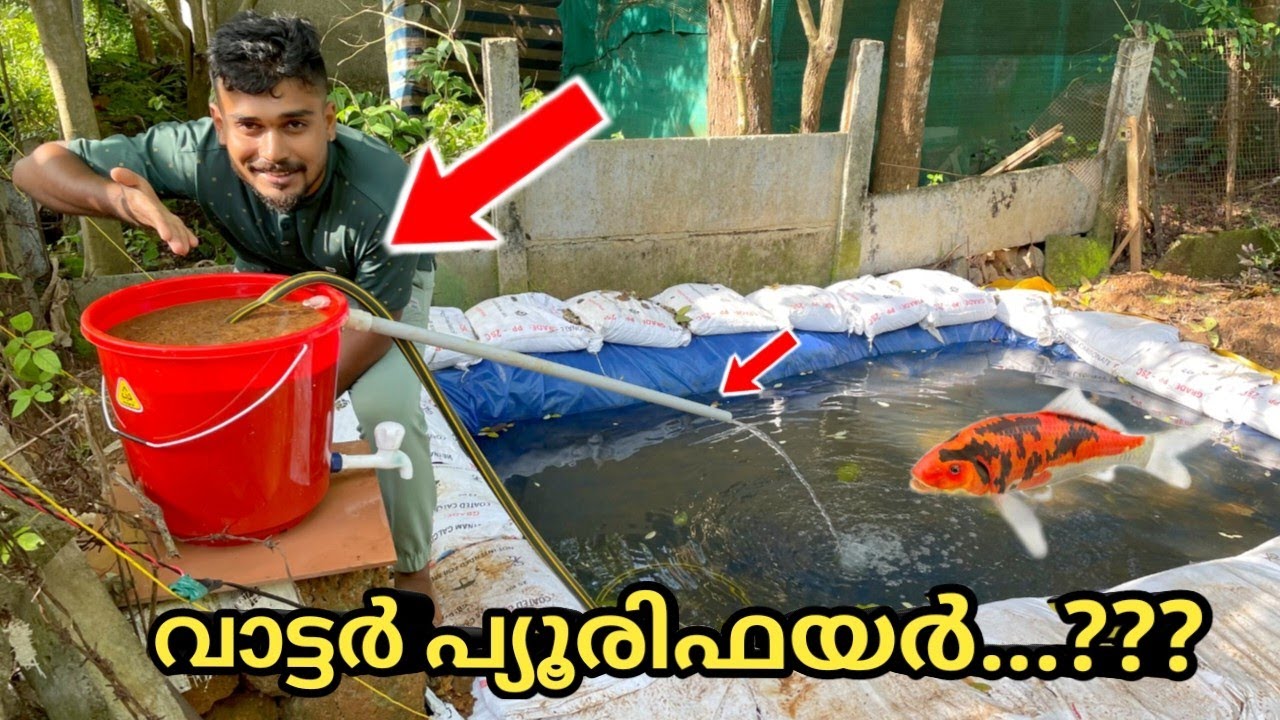 കാർപ്പ് കുളത്തിലെ വെള്ളം തെളിയാൻ ബക്കറ്റ് ഫിൽറ്റർ...😍 bucket filter