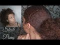 Quick &amp; Easy Sleek Ponytail