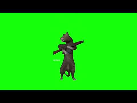 猫ミーム最新素材 新素材 AR銃猫 猫ミーム 猫マニア 猫マニ 素材 Meme Memes ねこ Cat Cats Shorts ショート ダンス猫