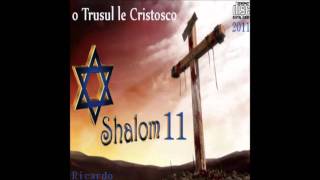 Video voorbeeld van "Ricardo Kwiek Shalom 11/track 5"