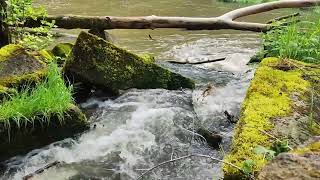 Meditation Nature  1 hour | Rushing stream | Water sounds to relax and fall asleep