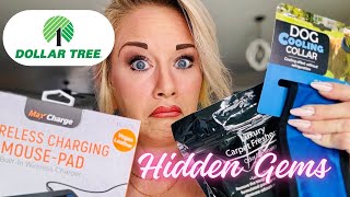 Unveiling Dollar Tree's Best-Kept Secrets: Discover Hidden Gems on a Budget! 💎