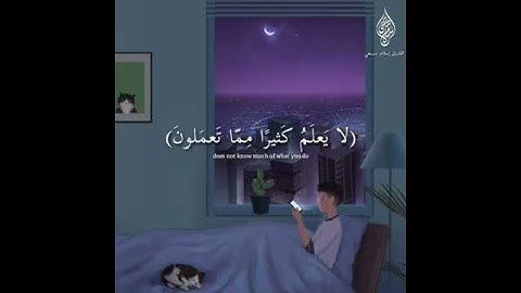 تلاوات من سورة فصلت حالات واتس