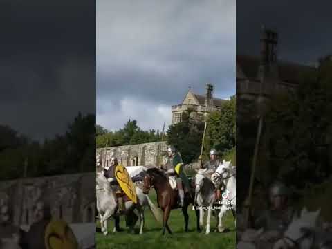 Video: Ngựa xoăn