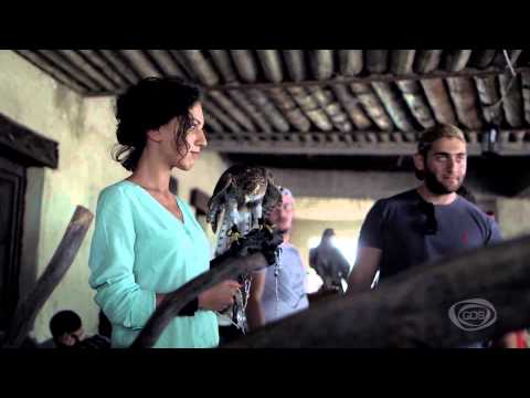 GD პედია - თიკო ფრანგიშვილი - ბაზიერი