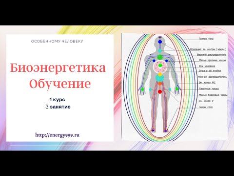 Биоэнергетика Обучение. 1 курс. 3 занятие.