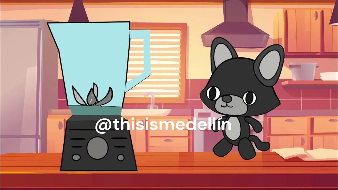 Cat in blender ¡ Blenders are for smoothies... not cats ! el gato y la