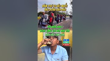 Đám thợ tu cà khịa Đoàn Văn Báu! #doanvanbau #thichminhtue #tintuc #lekhagiap #thichminhtuemoinhat