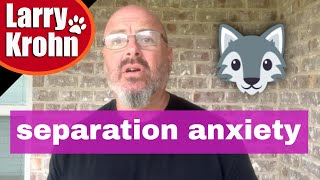 Creating and/or fixing separation anxiety and crate training