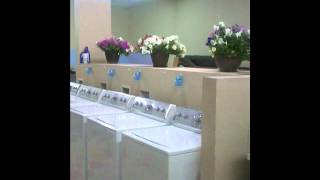 Mary Elizabeth Laundromat #2