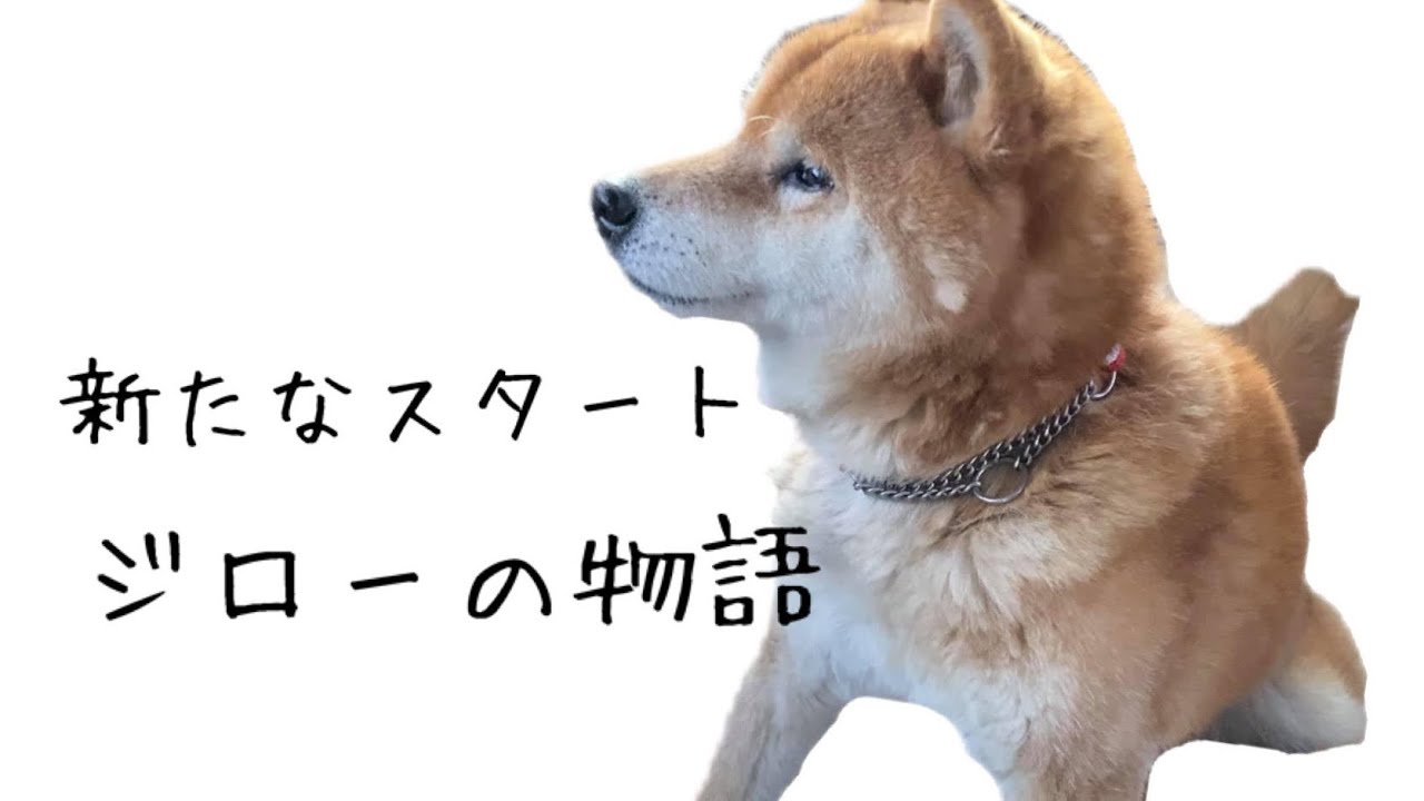 レディ プレイヤー ワン 吹き替え