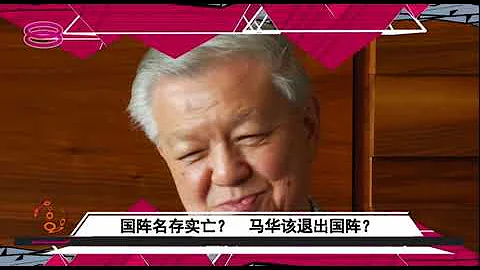 蔡細歷點評馬華與國陣、馬哈迪與安華 - 天天要聞