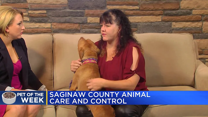 Pet of the Week: Mudge