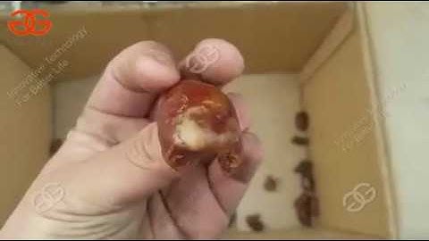 full automatic dates seed removal machine manufacturer|olive pitting machine| date pitter machine