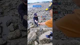 충남당진 장고항 해루질 #충남 #미션 #소통 #먹방 #여행
