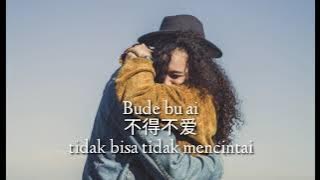 不得不爱 Bude Bu Ai~Will Pan & Zhang Xian Zi ( Lirik   Terjemahan )