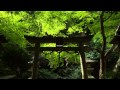 Oyamazumi Shinto Shrine Kyoto Japan  大山祇神社 北白川 Full HD