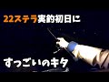 これが22ステラの実力！とんでもない魚が食いついてドラグ音が響き渡る。【インプレ】