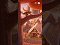 Assassin's Creed Vanilla reveal trailer! #aigenerated #funny #aishorts #assassinscreed