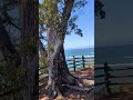 登った先の広がる景色は⋯イイモノダ#風景#景色#広がる空#快晴#海#地平線#旅#旅行#Short