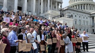 A trip from New Haven to Washington DC to claim pizza superiority