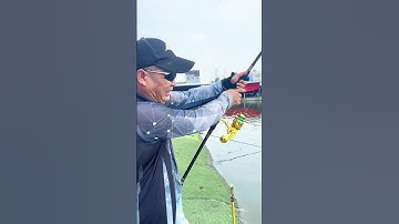 Buổi trải nghiệm Ultra Chrome #fishing #ryokovietnam #vietnamfishing #fishinglife #câucá #fish