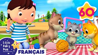 Pes Animaux De Compagnie Comptines Et Chansons Pour Bébés Little Baby Bum En Français