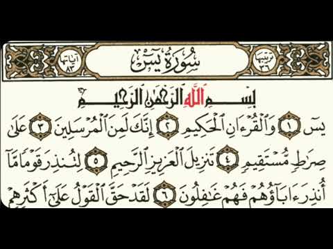 ملا نامق مصطفى سورة يس