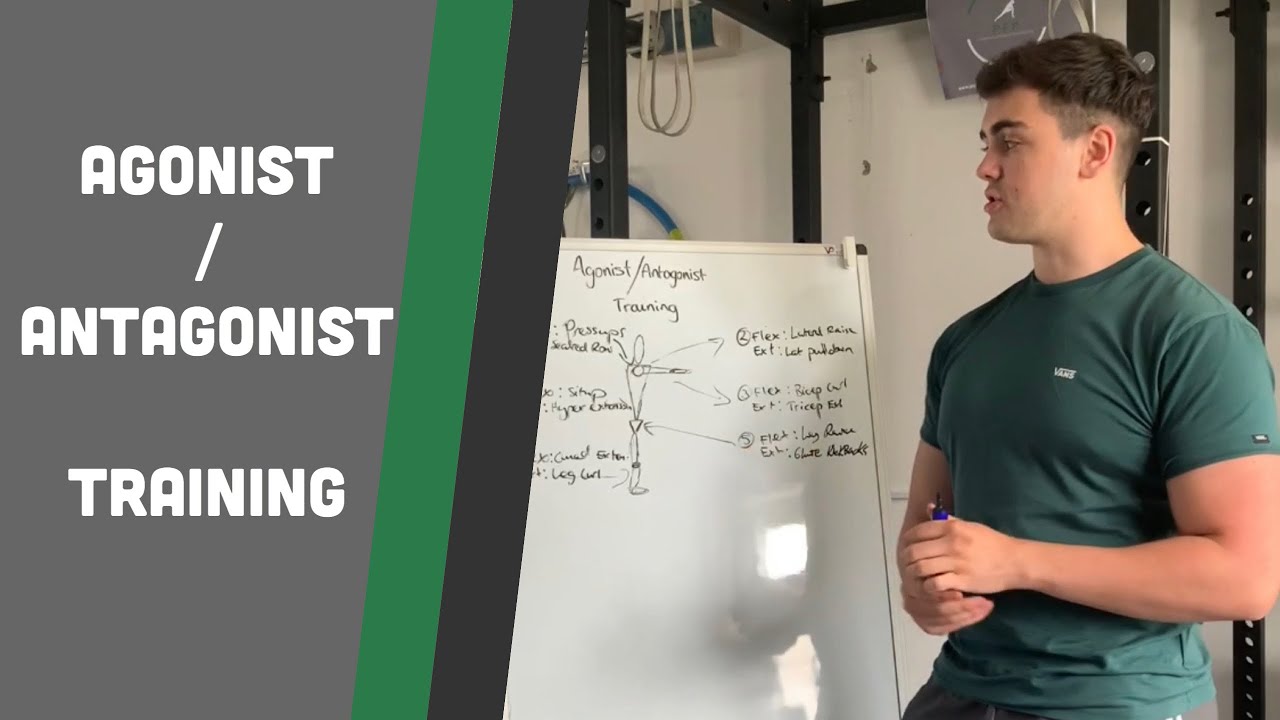 Agonist/ Antagonist Training : WHAT YOU NEED TO KNOW : - YouTube
