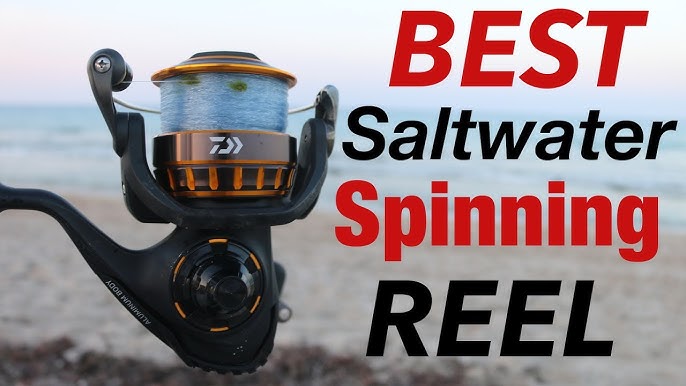 Daiwa BG4000 BG Saltwater Spinning Reel, 4000, 5.7: 1 Gear Ratio