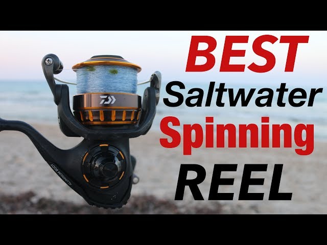 A LEGEND Reborn- Daiwa BG REEL Review (BEST Saltwater Spinning