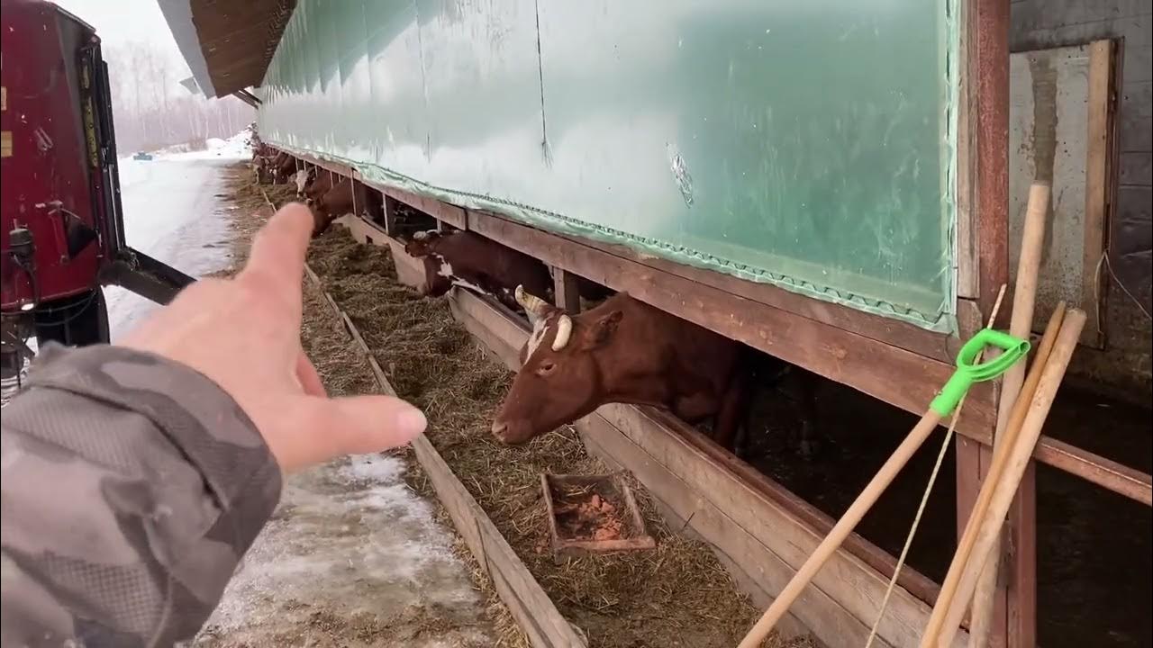 Кфх 2023. Кфх 2023. Кфх 2023. 20 лет кфх. Агро фотографии.