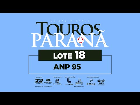 LOTE 18 ANP 95