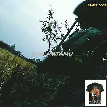STORY WA# Iwan fals Antara Aku Kau dan Bekas Pacarmu#