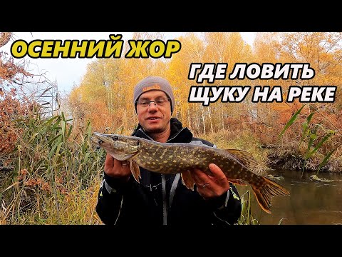 Fall Pike Feeding Frenzy. Where Best to Catch River Predators
