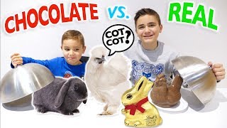 REAL vs CHOCOLATE FOOD CHALLENGE - Trucs réels ou Chocolat ?