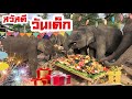 ครั้งแรกของเด็กๆตกงาน❗️สวัสดีวันเด็ก🎁🎊น่ารักทุกเชือก🐘 บ่อพลอยอดใจไม่ไหวเปิดงานก่อนเลย‼️