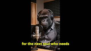 🎤#The Last Ghost Light! Rose of Sharon Online Store Podcast!🧒