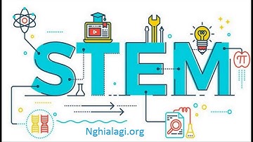 STEM là gì? Những ý nghĩa của STEM - Nghialagi.org