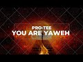 You are Yaweh (Pro-Tee